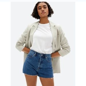 Everlane The Cheeky Denim Short